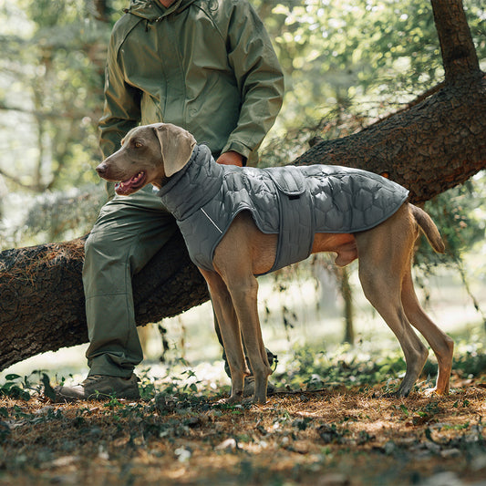 Thick and warm dog clothing outdoor cotton coat vest for winter warmth